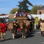 boeufs-fete-renaissance-2019-lherbergement