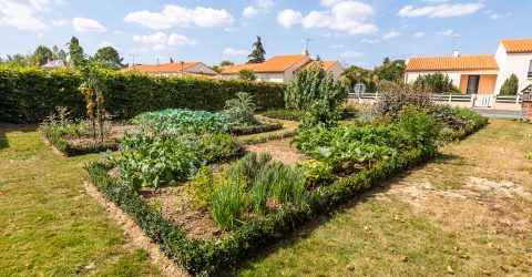 jardin renaissance rue de la clairière