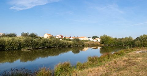 Pichetière plan d'eau et lotissement