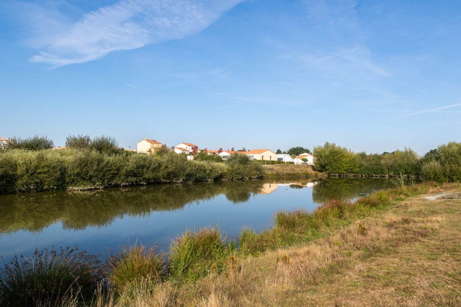 Pichetière plan d'eau et lotissement