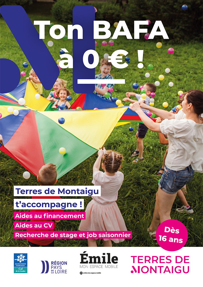 Affiche : ton Bafa à 0 €